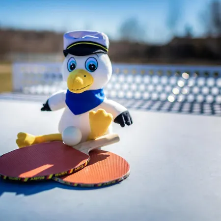 Casa de Férias Lagovida Duenenhaus Comfort J Am Stoermthaler